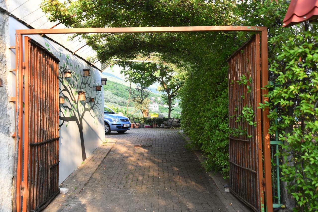 #Ioniahouse Surrel Villa Тирана Екстер'єр фото