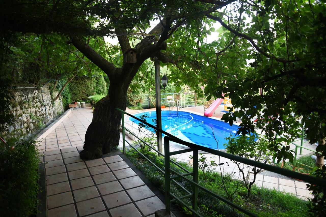 #Ioniahouse Surrel Villa Тирана Екстер'єр фото